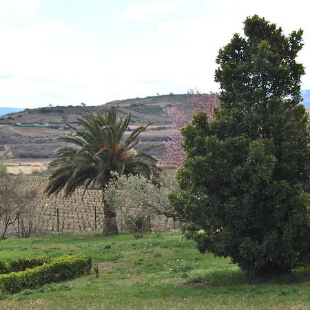 Casa Pichon Etxea Villa La puebla de Labarca Exteriör bild